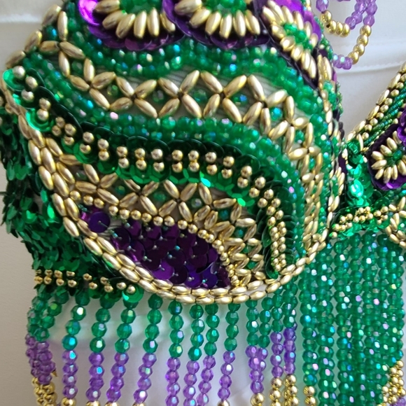 Samba / Bellydance / Mardi Gras Costume - Picture 3 of 9